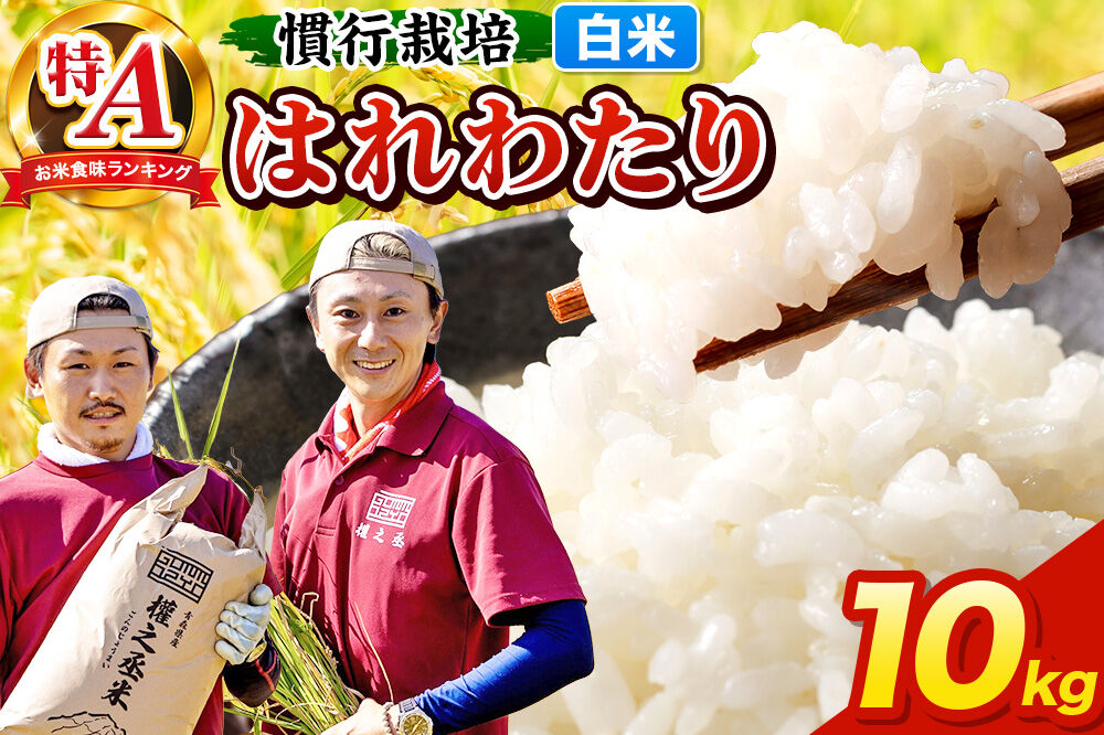米 はれわたり 10kg［白米］特A 慣行栽培 青森県産 令和7年産 [お米 東北 精米 青森県 弘前市 白米 ブランド米]