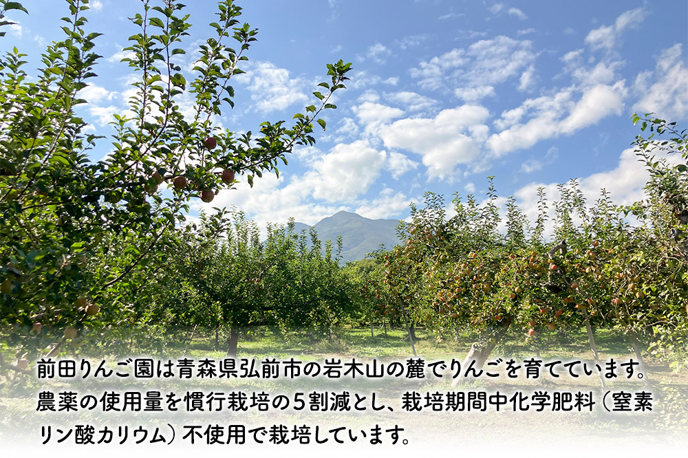 【25年10月発送】りんご【訳あり】紅玉 約5kg  前田りんご園