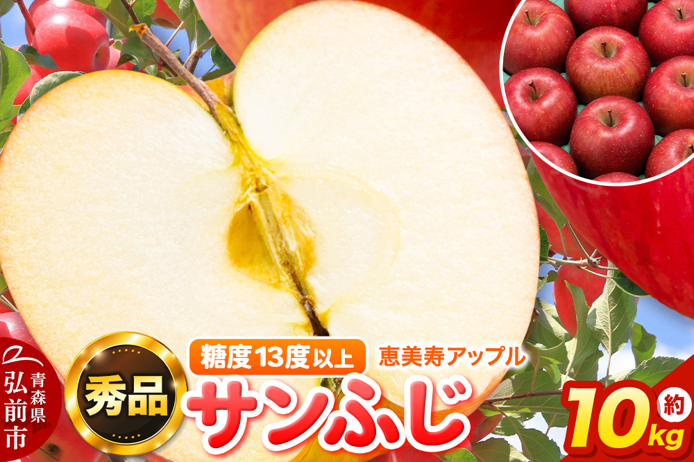 りんご 【糖度13度以上】サンふじ 約10kg 【秀品】 青森県 フルーツ 果物