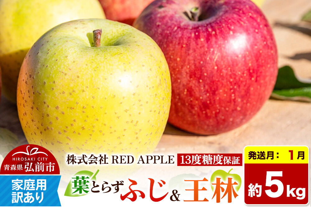 【27年1月発送】りんご 13度糖度保証【訳あり】家庭用 葉とらずふじ＆王林 約5kg 先行受付 [アップル おいしい ふじ りんご 王林 黄色 果実 果物 赤色 糖度 美味 葉っぱ 葉とらず 林檎]