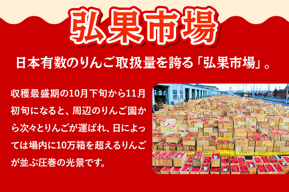 【26年1月発送】りんご 贈答用 サンふじ 約3kg