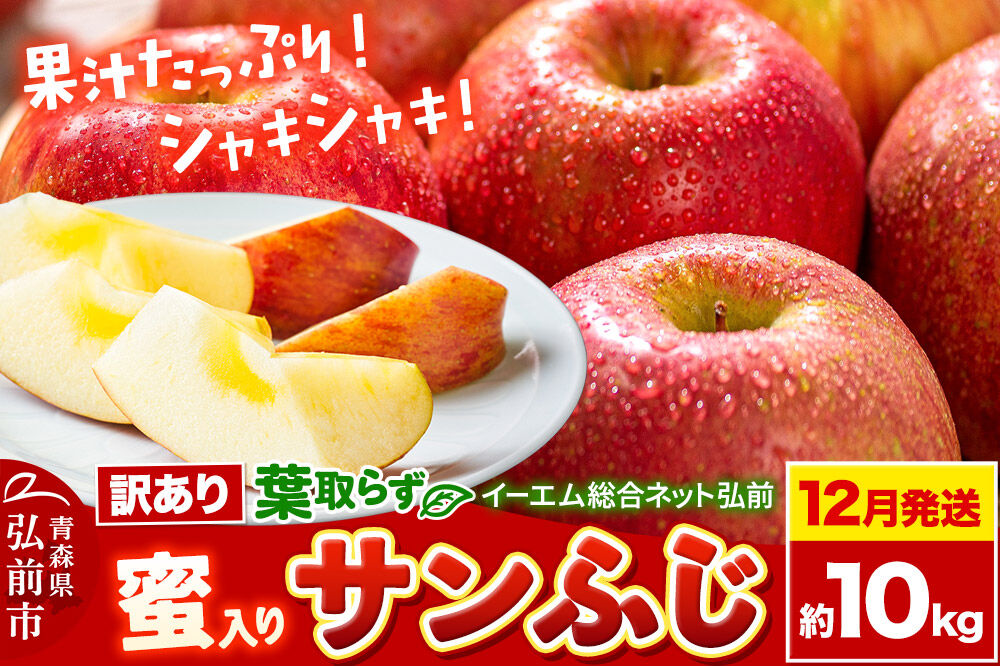 【26年12月発送】りんご 葉取らず サンふじ【訳あり】約10kg【蜜入り】糖度13度以上 EMりんご 林檎 リンゴ 果物 くだもの フルーツ 青森県 弘前市 不揃い 規格外 先行受付 [先行予約 家庭用 産地直送 アップル 青森県 弘前市]