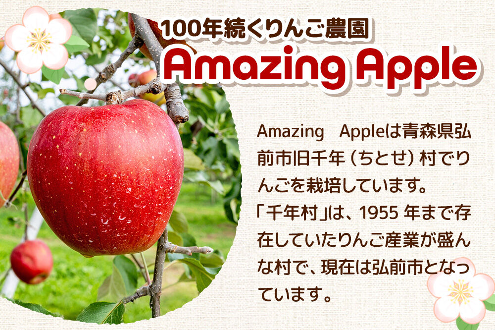 【26年12月発送】りんご 葉取らずサンふじ＆名月 詰め合わせ【訳あり】家庭用 約5kg 先行受付 [先行予約 りんご サンふじ 葉とらず ふじ 名月 訳あり 家庭用 5kg 詰め合わせ セット アップル おいしい 果実 果物 美味 葉っぱ 林檎 青森県 弘前市]