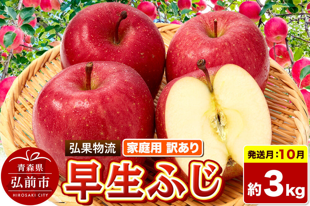 【26年10月発送】りんご 早生ふじ【訳あり】約3kg 家庭用 青森県 弘前市 [早生ふじ りんご 訳あり 家庭用 アップル おいしい 果実 果物 詰め合わせ 詰合 赤色 美味 林檎]