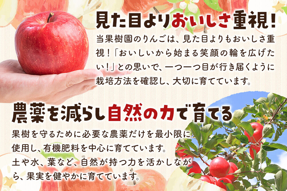 【26年11月下旬〜発送】りんご サンふじ 約5kg【家庭用】林檎 リンゴ 果物 くだもの フルーツ 青森 [アップル おいしい 果実 果物 赤色 美味]