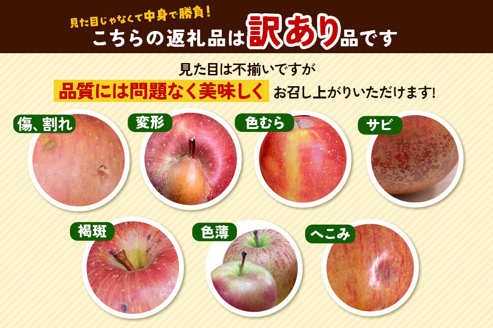 【27年4月クール便発送】りんご サンふじ【訳あり】約3kg（8〜13玉程度）【CA貯蔵】糖度13度以上 先行受付 青森県産 林檎 リンゴ 果物 くだもの フルーツ 青森県 弘前市 不揃い 規格外 [先行予約 クール便 産地直送 家庭用 アップル おいしい ふじ 果実 美味 甘い]