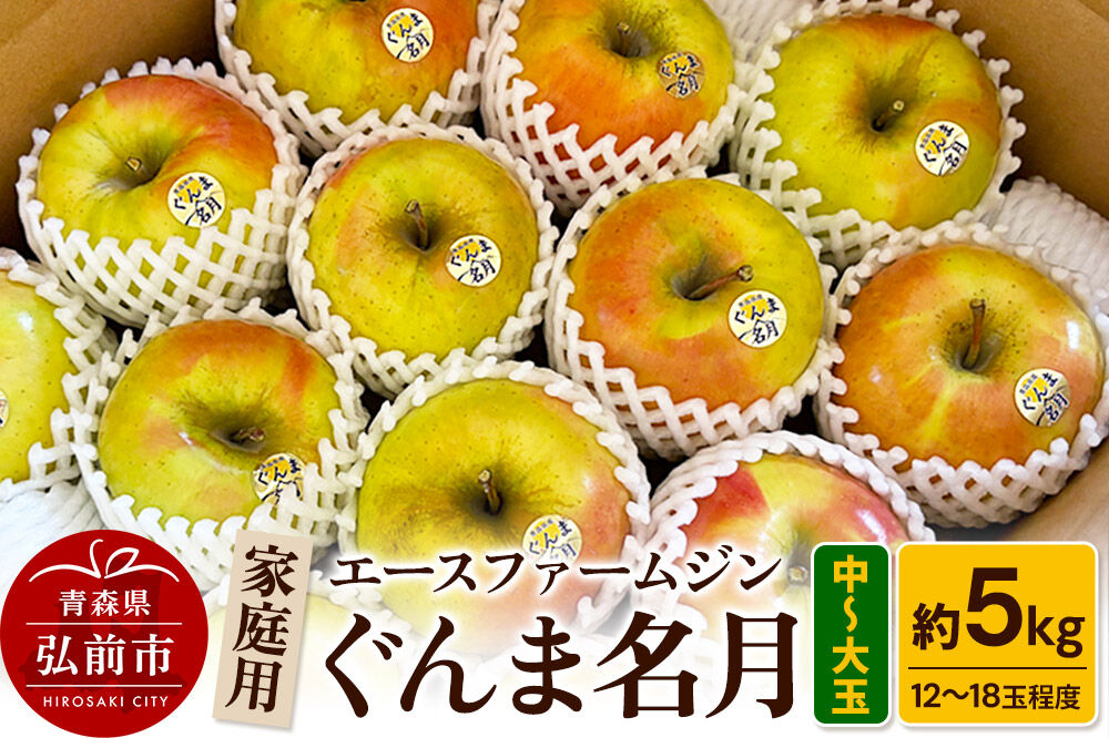 【26年10月下旬〜発送】りんご家庭用ぐんま名月 約5kg（中玉〜大玉12玉〜18玉程度）【先行受付】 青森 果物 フルーツ 林檎 リンゴ くだもの 予約 [アップル おいしい ぐんま名月 りんご 黄色 果実 果物 美味 名月 林檎]