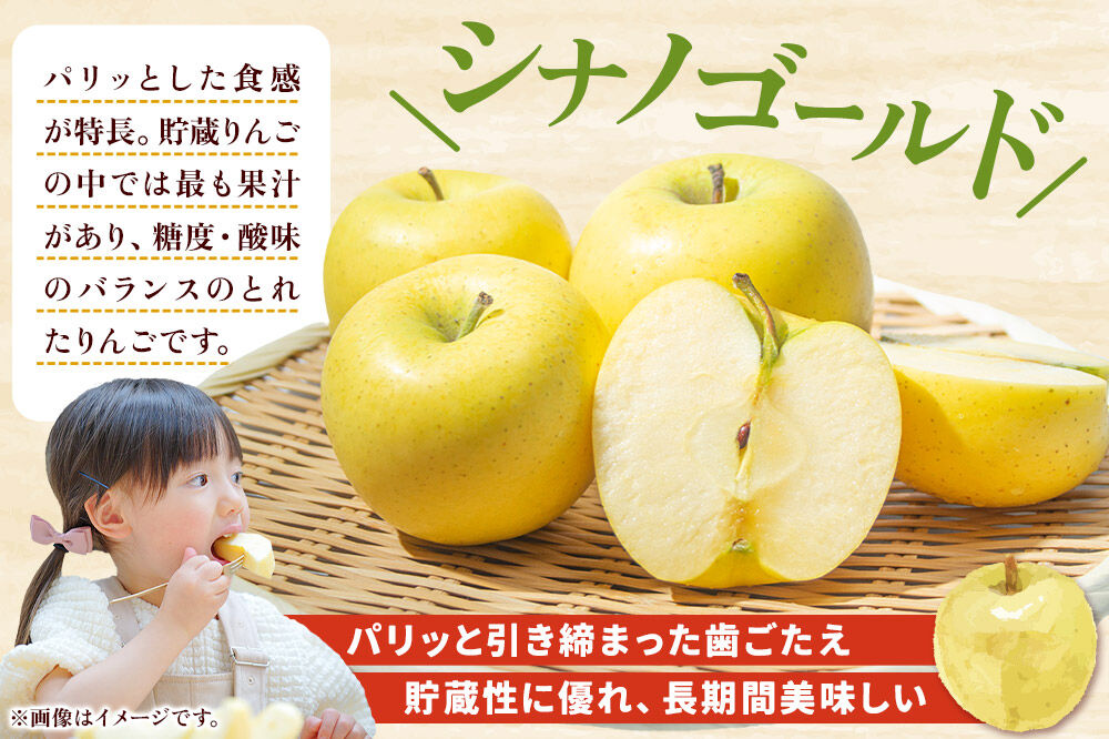 【26年11月〜発送】りんご 蜜入り サンふじ（みつまるくん）＆シナノゴールド セット 約 5kg [アップル おいしい シナノ シナノゴールド セット セット品 ふじ りんご 黄色 果実 果物 赤色 美味 林檎]