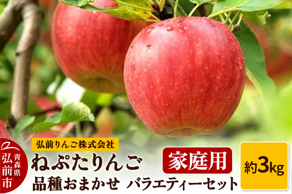 りんご ねぷたりんご バラエティーセット 家庭用 約3kg 【品種おまかせ】