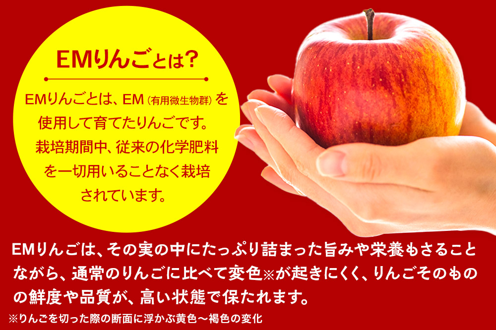 【26年4月クール便発送】りんご  贈答用 葉取らず ふじ 約5kg（有袋栽培・CA貯蔵）EMりんご