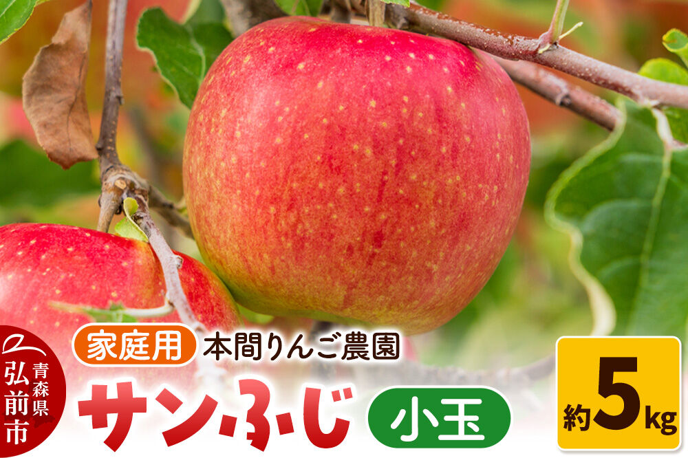 【26年12月発送】サンふじ【家庭用】約5kg 小玉 先行受付 青森県 弘前市 果物 フルーツ 林檎 リンゴ くだもの 不揃い 規格外 [先行予約 産地直送 アップル おいしい 果実 美味 甘い 赤色]