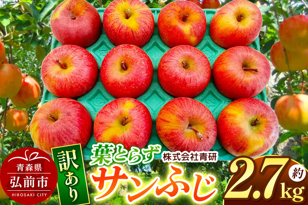 【寄附金額見直しました】【26年4月〜5月クール便発送】りんご 葉とらず サンふじ【訳あり】約2.7kg【スマートフレッシュ加工】青森 果物 フルーツ 林檎 リンゴ くだもの 不揃い 規格外 [アップル 産地直送 クール便 スマートフレッシュ 青森県 弘前市]
