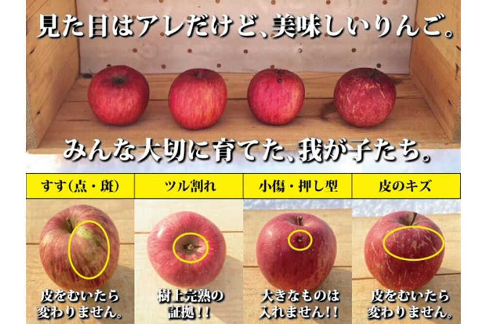 りんご ふじ 約3kg（7玉〜14玉程度）樹上完熟葉とらず【家庭用】厳選品 青森県産 りんご