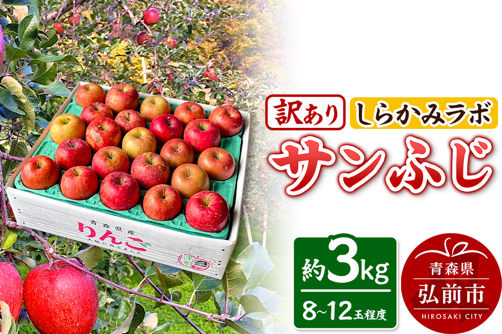 りんご サンふじ【訳あり】約3kg しらかみラボ