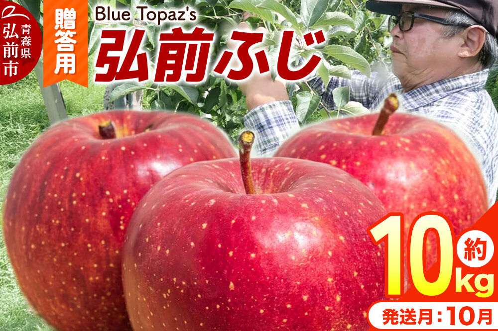 【26年10月中旬〜発送】りんご 弘前ふじ【贈答用】約10kg 青森県 弘前市 [先行予約 アップル おいしい ふじ りんご 果実 果物 赤色 津軽 糖度 美味 林檎]