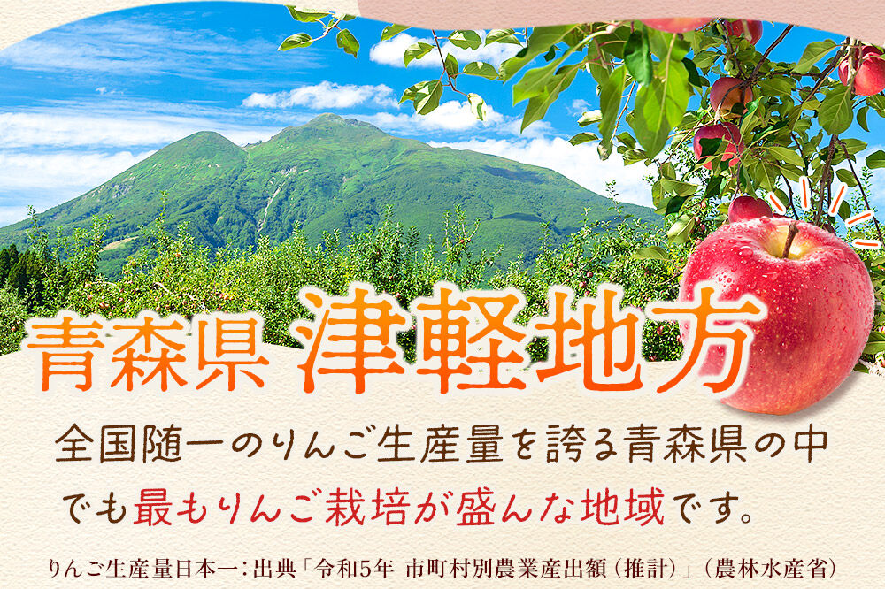 りんご 【糖度13度以上】サンふじ【家庭用】約3kg 8〜12玉程度 津軽農園 [アップル おいしい ふじ りんご 果実 果物 青森 赤色 津軽 糖度 美味 林檎]