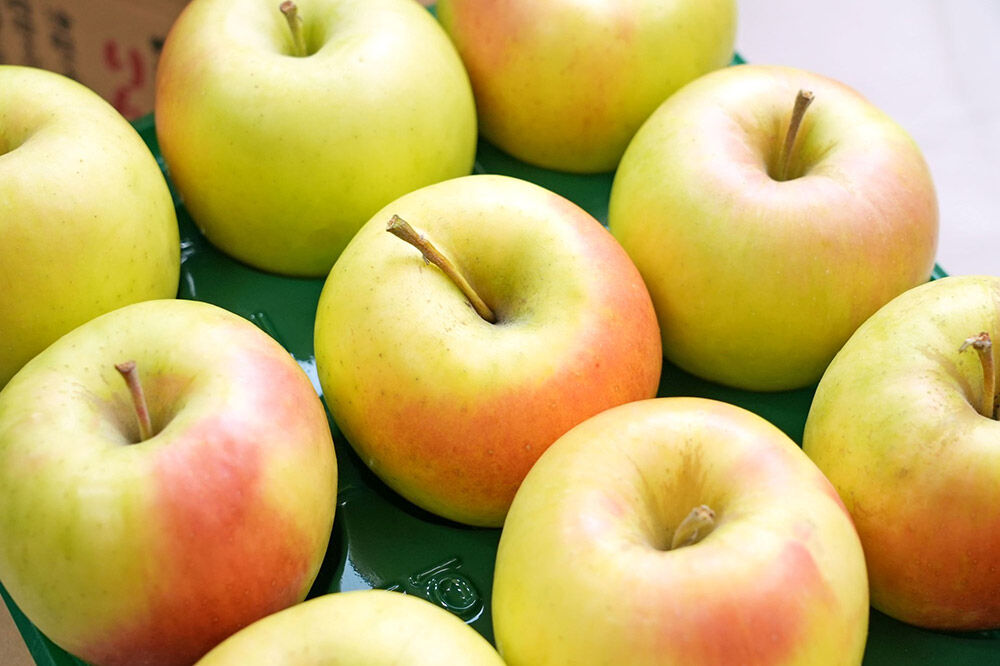 【26年4月クール便発送】りんご 平均糖度13度以上！ぐんま名月 約3kg 訳あり CA貯蔵 クール便 青森 果物 フルーツ 林檎 リンゴ くだもの 不揃い 規格外 [ぐんま名月 りんご 青森県 弘前市]