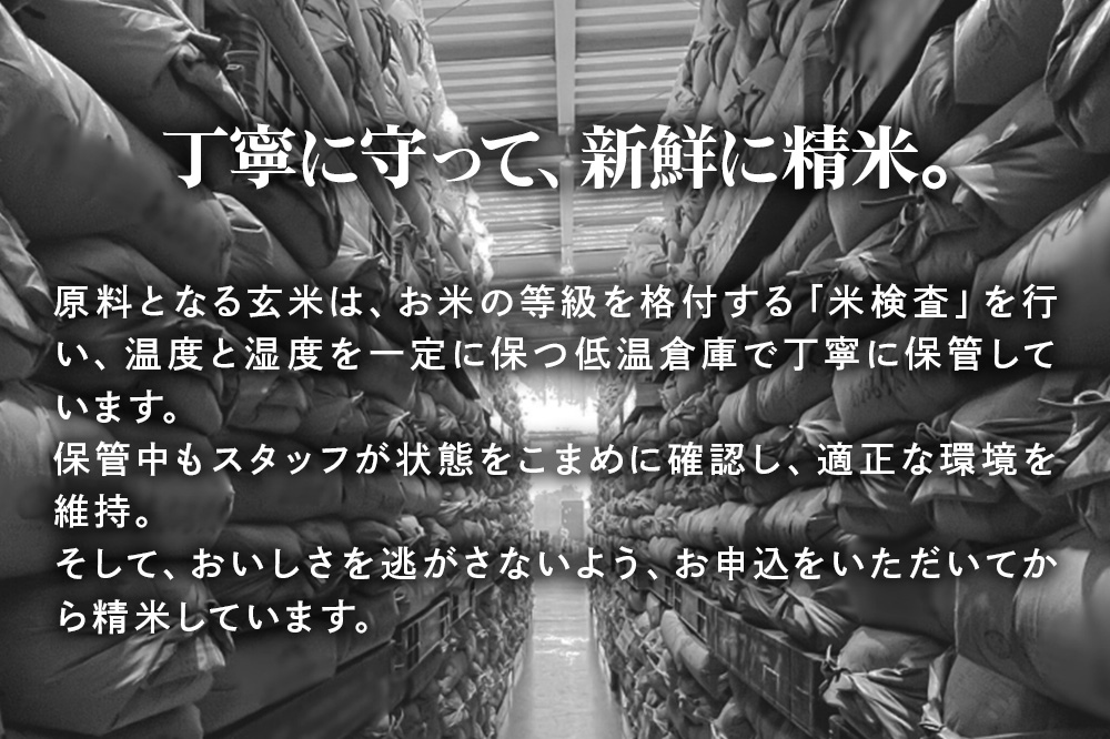 新米 米 令和7年産 青森県産 まっしぐら【精米】30kg（5kg×6袋）