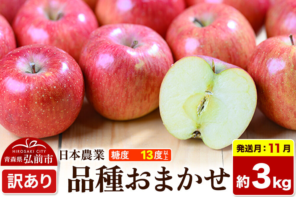 【26年11月発送】りんご 品種おまかせ【訳あり】約3kg 平均糖度13度以上 青森県 弘前市 果物 フルーツ 林檎 リンゴ くだもの 不揃い 規格外 [先行予約 家庭用 産地直送 アップル 青森県 弘前市]