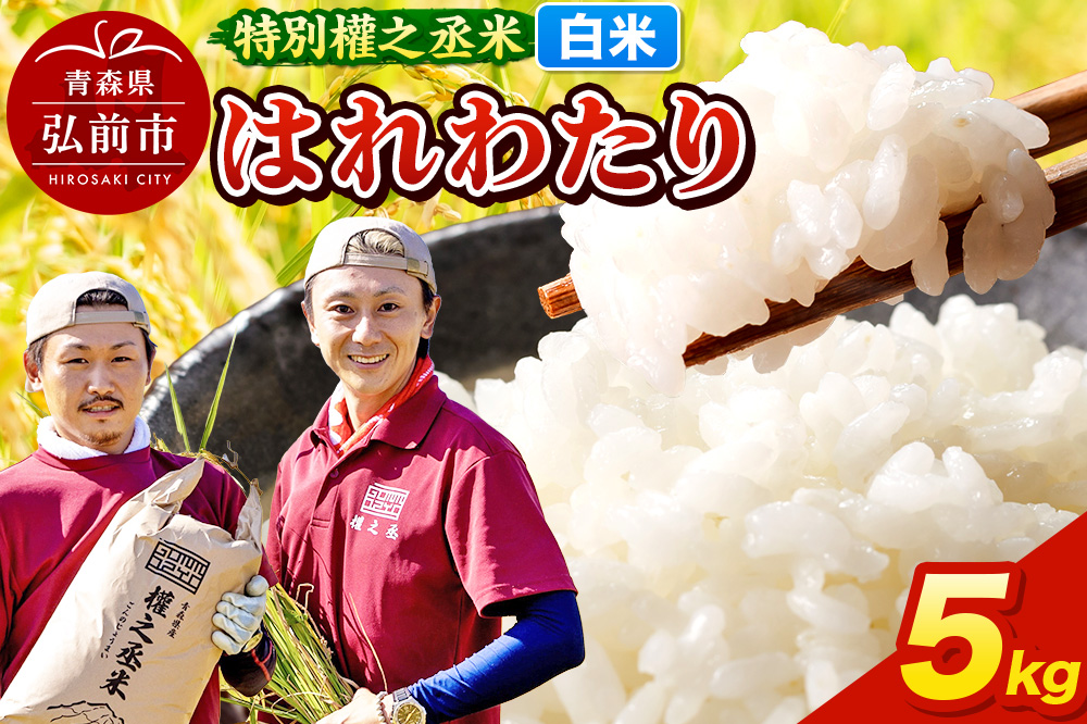 はれわたり 5kg ［白米］ 特別權之丞米 青森県産 令和7年産