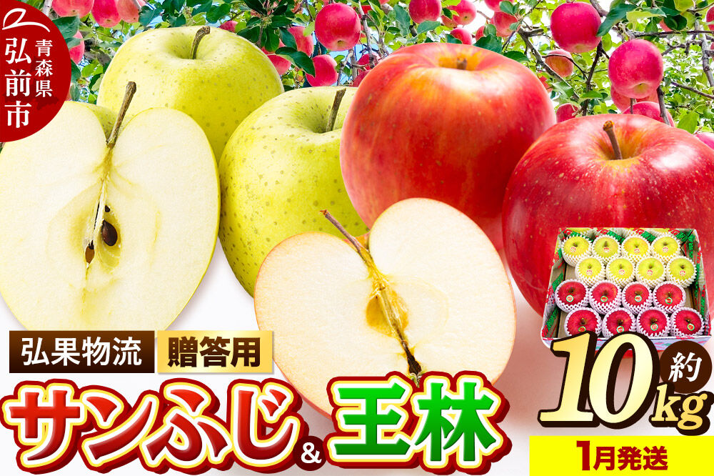 【27年1月発送】りんご 贈答用 サンふじ・王林 詰め合わせ 約10kg [アップル おいしい お歳暮 お中元 ギフト ふじ プレゼント りんご 王林 黄色 果実 果物 詰め合わせ 詰合 赤色 贈り物 贈答用 美味 林檎]
