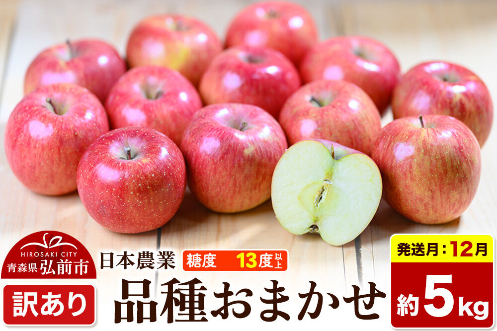 【26年12月発送】りんご 品種おまかせ【訳あり】約5kg 平均糖度13度以上 青森県 弘前市 果物 フルーツ 林檎 リンゴ くだもの 不揃い 規格外 [先行予約 家庭用 産地直送 アップル 青森県 弘前市]