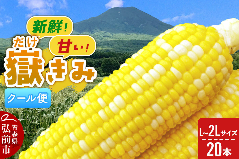 【26年8月下旬〜クール便発送】とうもろこし 嶽きみ【先行受付】L〜2Lサイズ 20本 しらかみラボ [先行予約 とうもろこし コーン 嶽きみ ブランド クール便 おいしい 青森 野菜 だけきみ]