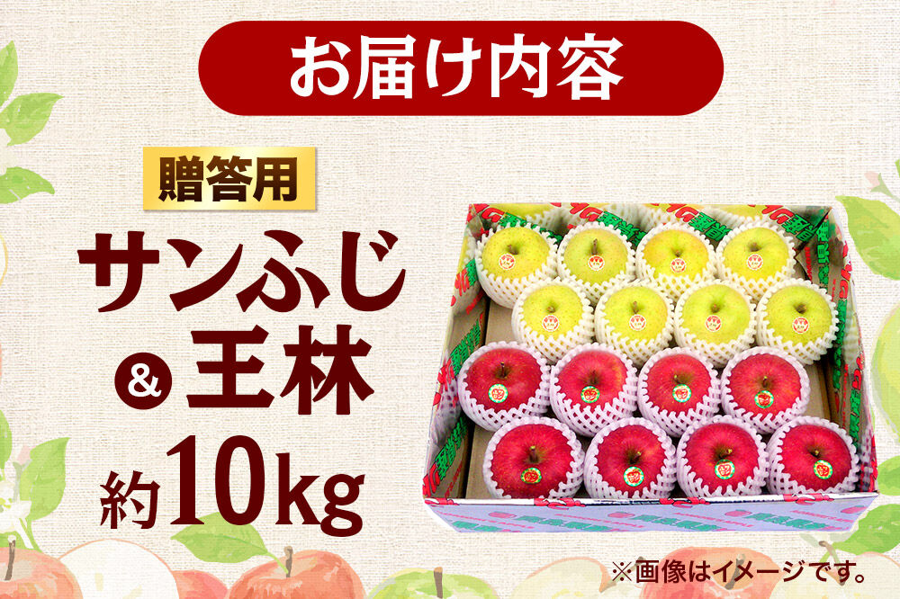 【26年12月発送】りんご 贈答用 サンふじ・王林 詰め合わせ 約10kg [アップル おいしい お歳暮 お中元 ギフト ふじ プレゼント りんご 王林 黄色 果実 果物 詰め合わせ 詰合 赤色 贈り物 贈答用 美味 林檎]