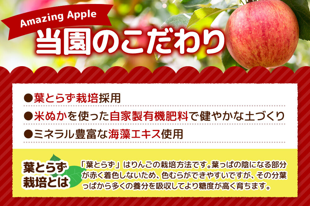 【26年11月下旬発送】りんご 名月【訳あり】家庭用 約5kg 先行受付 [先行予約 りんご 名月 訳あり 家庭用 5kg アップル おいしい 果実 果物 美味 林檎 青森県 弘前市]