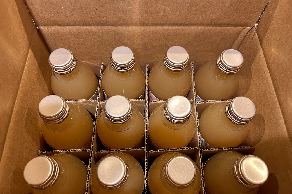 【寄附金額見直しました】無添加製法 ストレートりんごジュース【AOMORI APPLE】250ml×12本