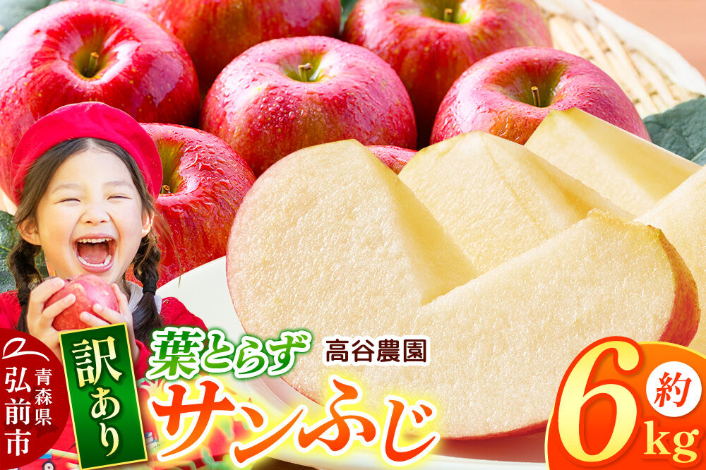 【26年11月〜発送】りんご 高谷農園【訳あり】葉とらずサンふじ 約6kg [青森産 りんご サンふじ 葉とらず アップル 林檎 リンゴ 果物 果実 赤色 美味 青森県 弘前市]