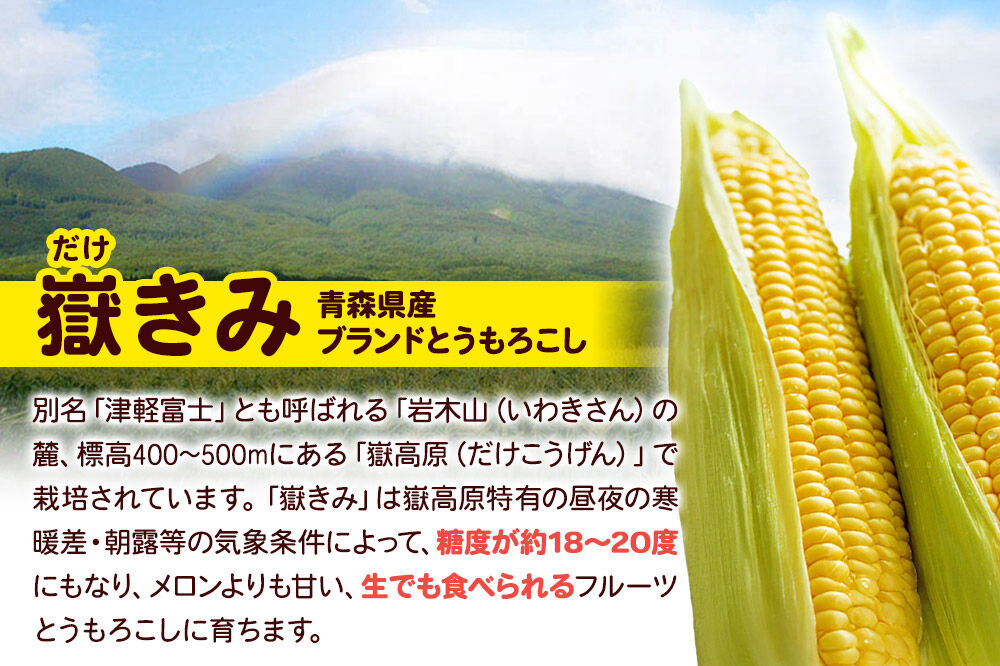 【寄附金額見直しました】とうもろこし 熊さんのプレミアム真空パックセット【嶽きみ真空パック（2L〜3Lサイズ）×3本、あられ30g×1本】