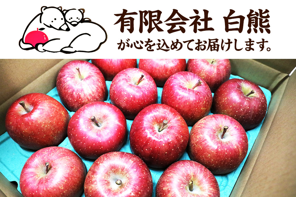【25年12月発送・先行受付】りんご 訳あり家庭用 白熊 サンふじ 約5kg（14〜20玉程度）糖度13度