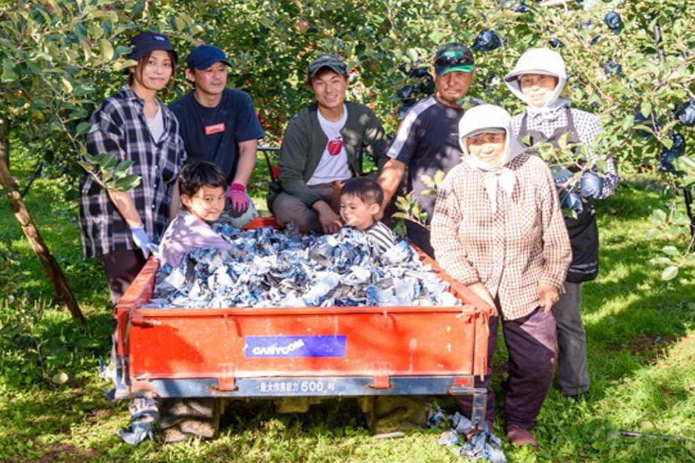 【25年10月〜発送】りんご【訳あり】家庭用 ひろさきふじ 約10kg（葉とらず）