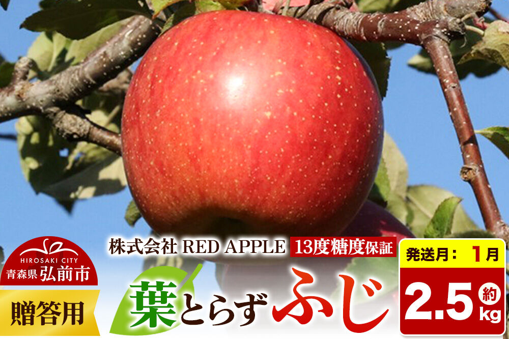 【27年1月発送】りんご 13度糖度保証【贈答用】葉とらずふじ 約2.5kg 先行受付 [アップル おいしい お歳暮 お中元 ギフト ふじ プレゼント りんご 果実 果物 赤色 贈り物 贈答用 糖度 美味 葉っぱ 葉とらず 林檎]