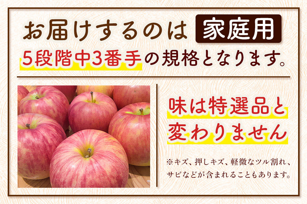 【27年1月〜発送】《定期便3ヶ月》りんご  サンふじ【家庭用】約3kg 8〜12玉程度【糖度13度以上】津軽農園 [先行予約 青森県 弘前市 定期便 アップル おいしい ふじ りんご 果実 果物 赤色 津軽 糖度 美味 林檎]