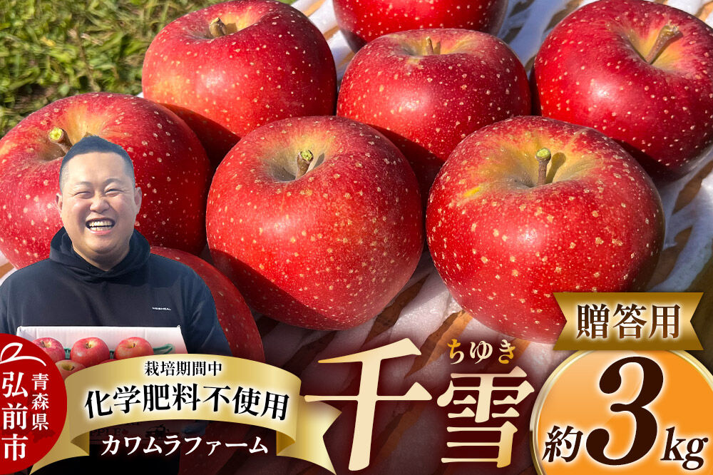 【26年10月下旬〜発送】りんご 千雪 約3kg カワムラファーム【贈答用】青森 果物 フルーツ 林檎 リンゴ くだもの [先行受付 アップル おいしい ちゆき お歳暮 お中元 ギフト プレゼント 果実 果物 赤色 贈り物 美味 林檎 弘前市]