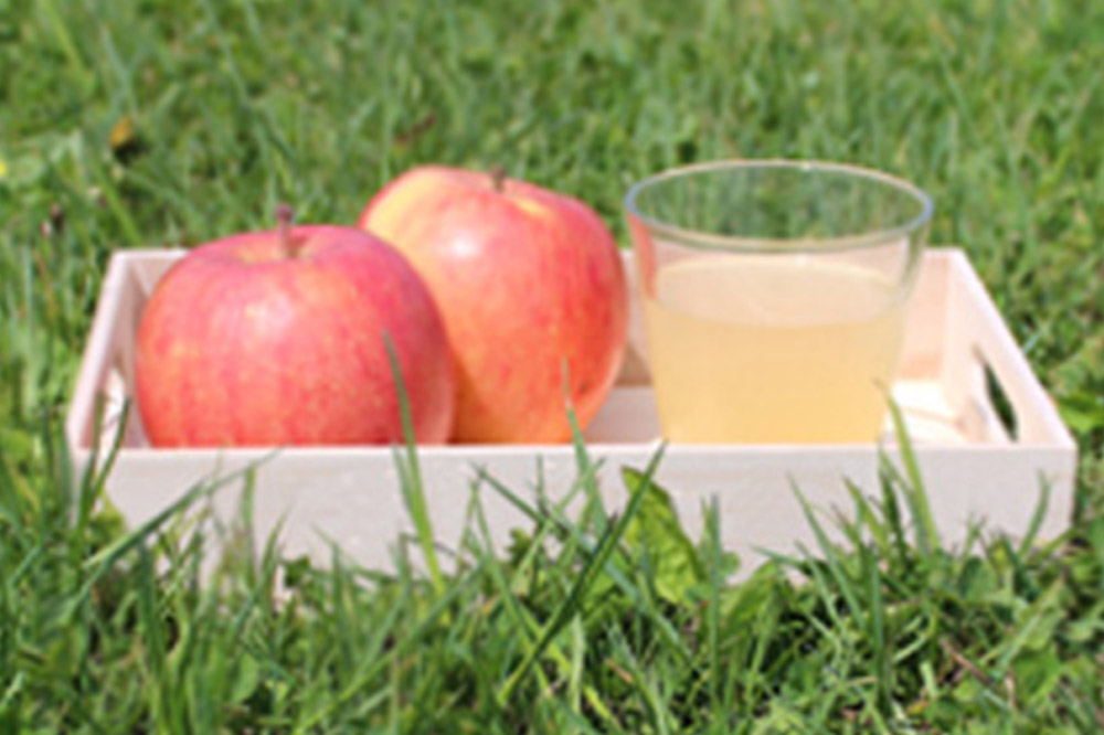 【寄附金額見直しました】青森県産 ストレートりんごジュース 180ml×10本 パープルウィンドウ まさひろ林檎園