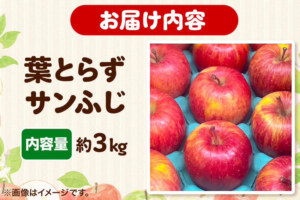 【26年12月発送】りんご 葉とらず サンふじ【家庭用】約3kg 糖度13.5度以上 先行受付 青森県 弘前市 果物 フルーツ 林檎 リンゴ くだもの 不揃い 規格外 [先行予約 産地直送 アップル おいしい 果実 美味 甘い 赤色]