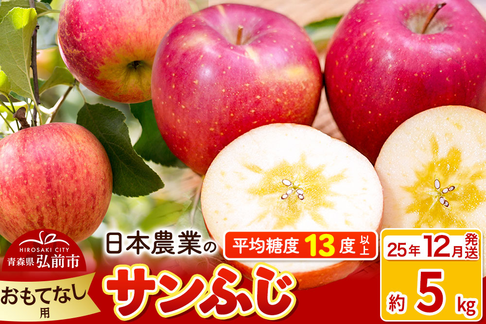 【25年12月発送】りんご 平均糖度13度以上！ サンふじ 約5kg おもてなし用 青森 果物 フルーツ 林檎 リンゴ くだもの