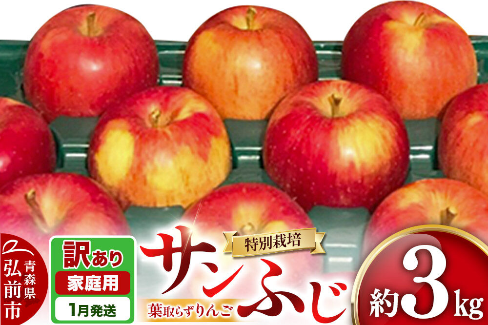 【27年1月発送】りんご 葉取らず サンふじ【訳あり】約3kg（8〜12玉程度）青森県特別栽培農産物認証農園 先行受付 家庭用 青森県 弘前市 果物 フルーツ 林檎 リンゴ くだもの 不揃い 規格外 [先行予約 産地直送 アップル おいしい 果実 美味 甘い 赤色]