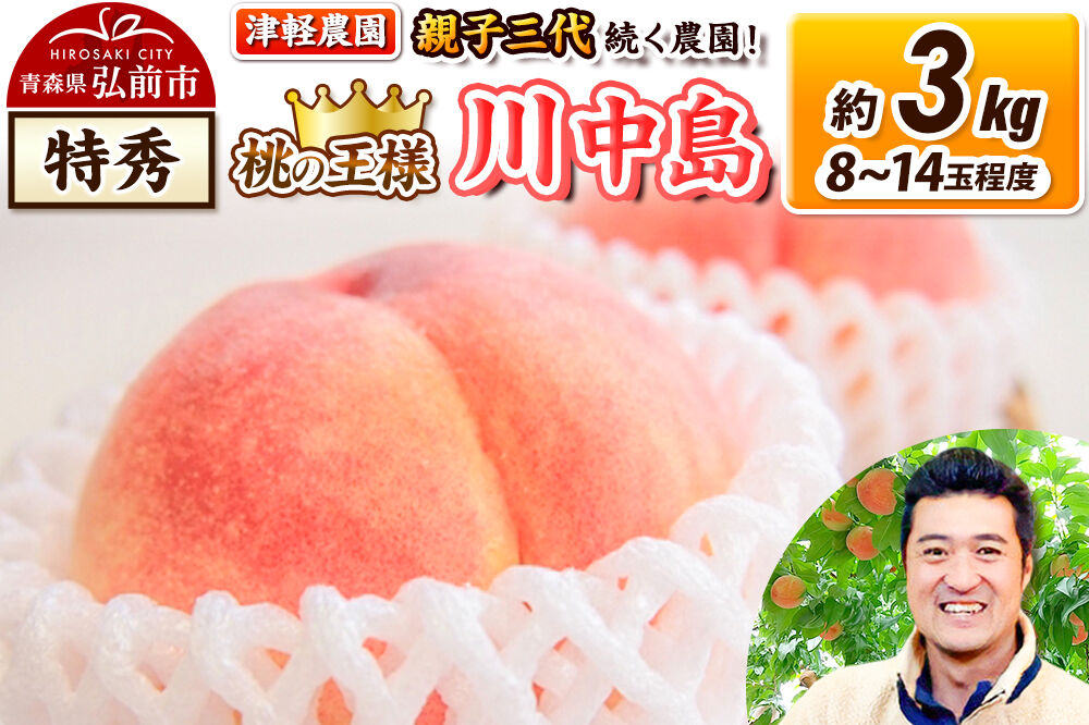 【26年8月発送】桃 約3kg(8〜14玉程度) 青森【2026年産 桃の王様 川中島】もも 特秀 果物 フルーツ くだもの 津軽農園 採れたて 農家直送 [おいしい ピーチ フルーツ もも 果実 果物 青森 津軽 桃 美味 川中島白桃 白桃]