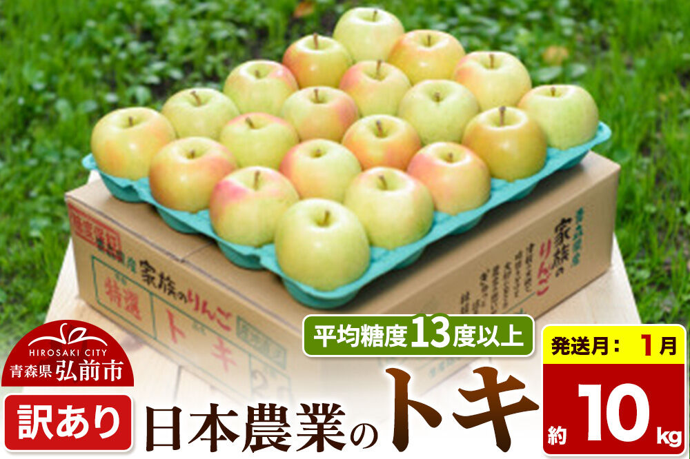 【27年1月発送】りんご トキ【訳あり】約10kg 平均糖度13度以上 青森県 弘前市 果物 フルーツ 林檎 リンゴ くだもの 不揃い 規格外 [先行受付 家庭用 産地直送 アップル 青森県 弘前市]