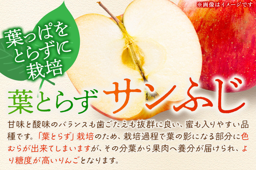 【27年1月〜発送】りんご 葉とらずサンふじ【特選】約3kg 8〜12玉程度【糖度13度以上】津軽農園 先行受付 青森県 弘前市 果物 フルーツ 林檎 リンゴ くだもの ギフト 贈り物 [先行予約 産地直送 アップル おいしい 果実 美味 甘い 赤色]