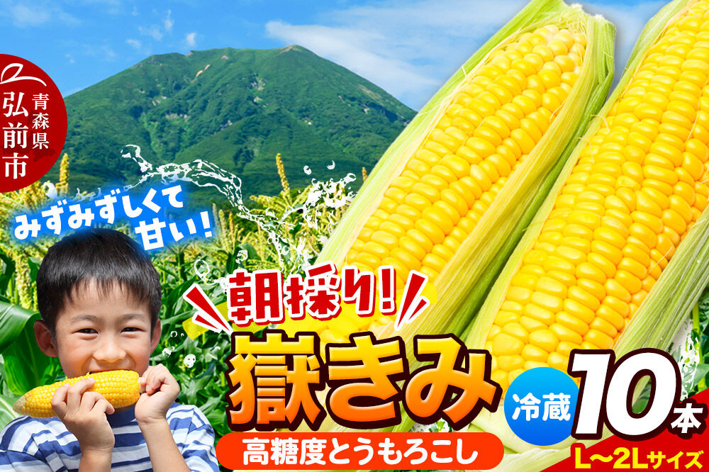 【26年7月〜発送】とうもろこし 朝採り 嶽きみ（だけきみ） 10本 L〜2Lサイズ 冷蔵 青森県 弘前市 [とうもろこし 朝採り 嶽きみ だけきみ 冷蔵 高糖度]