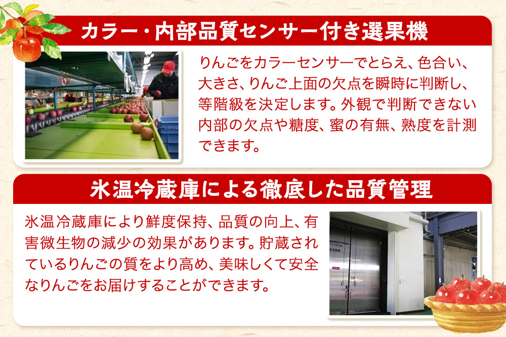 【26年1月発送】りんご  贈答用 サンふじ 約3kg 糖度 13度以上 EMりんご