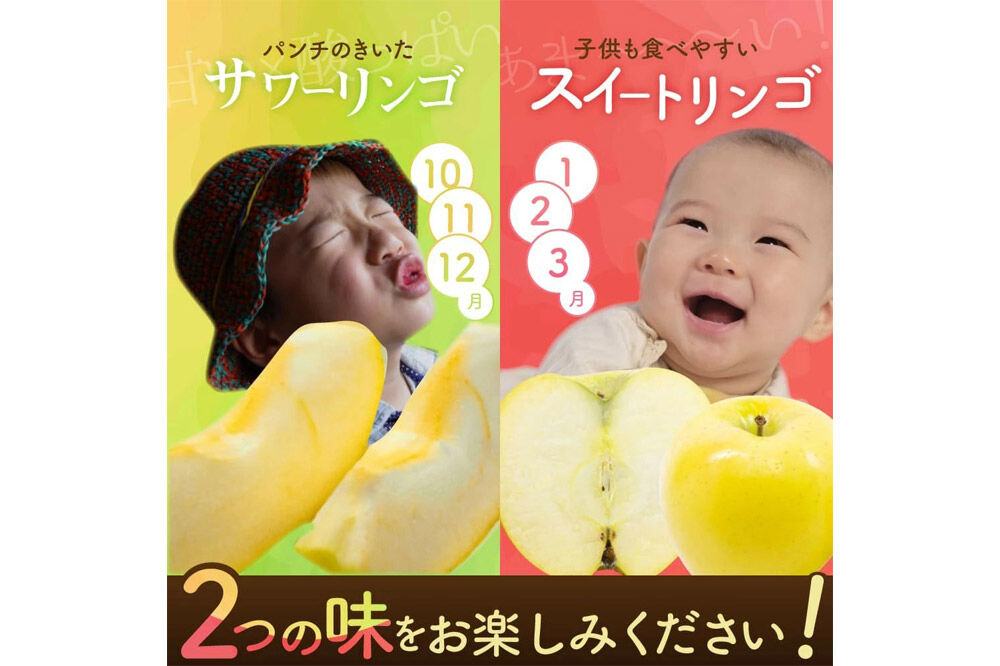 【26年10月下旬〜発送】りんご シナノゴールド【家庭用】約5kg 青森県 弘前市 [先行予約 アップル おいしい ふじ りんご 果実 果物 黄色 津軽 糖度 美味 林檎]