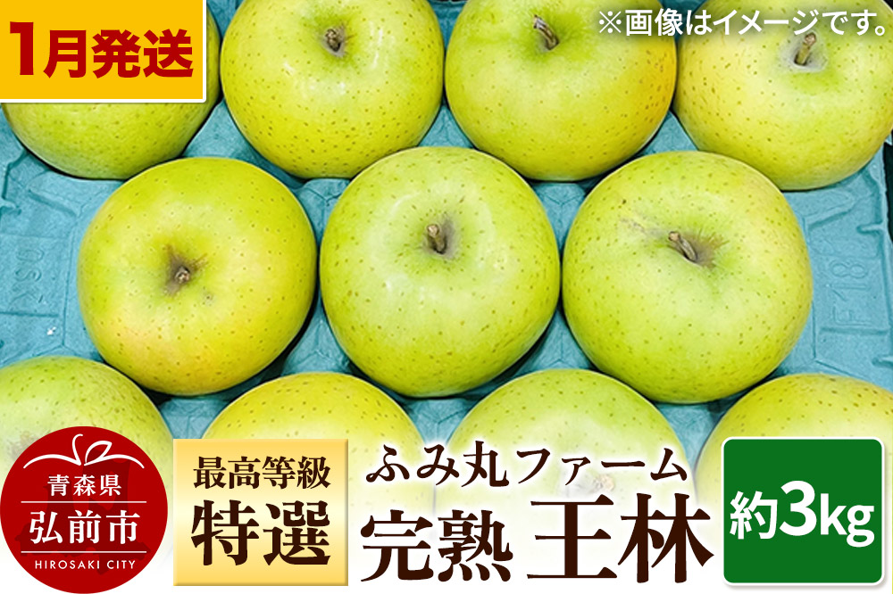 【26年1月〜発送】りんご ふみ丸ファーム 最高等級「特選」完熟 王林 約3kg