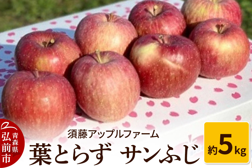 【26年1月発送】りんご 葉とらず サンふじ 約5kg