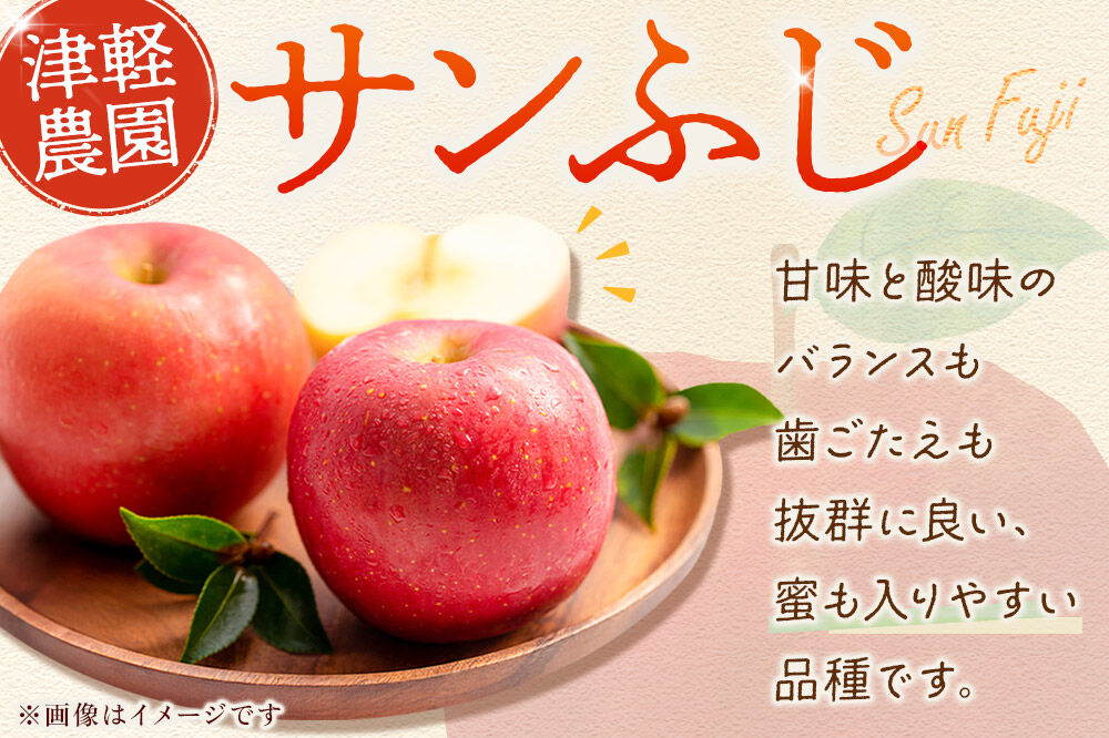 りんご 【糖度13度以上】サンふじ【家庭用】約3kg 8〜12玉程度 津軽農園 [アップル おいしい ふじ りんご 果実 果物 青森 赤色 津軽 糖度 美味 林檎]